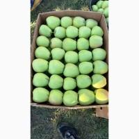 Продам яблука різних сотрів