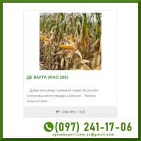 Насіння від виробника - Кукурудза ДБ Варта