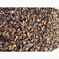 Гречиху по всій Україні. Купуємо. Самовивіз