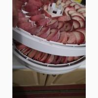 Саджанці персика