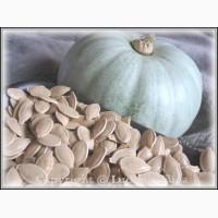 Куплю семена тыквы в любых количествах