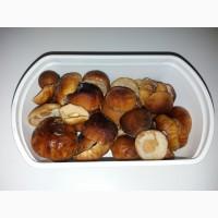 Шапочки білих грибів