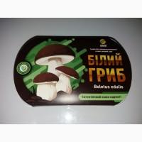 Шапочки білих грибів