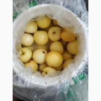 Продам мочёные яблоки