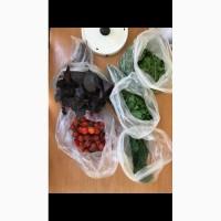Продам руколу, кріп, редьку, шпинат, базилік, петрушку, щавель, салат, кінзу