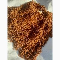 Облепиха сушеная, продам