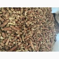 Качан кукурузы для топки. Целый и дробленный