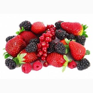 Куплю малину для переробки