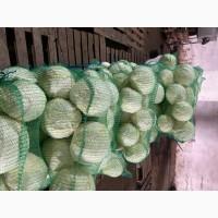 Продам капусту Второй Сорт