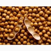 Сою купуємо дорого Ф1