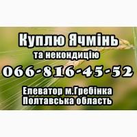 Елеватор закуповує Ячмінь!За високими Цінами!та некондицію Ячменю