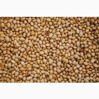 Постійно купуємо половинки сої. Вигідні умови співпраці