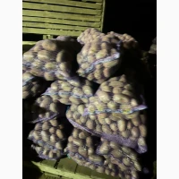 Продам продовольчу картоплю