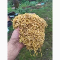 Продам гарний тютюн, Турція