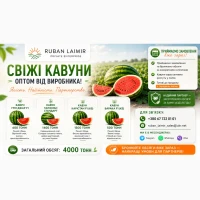 Продам кавун оптом від виробника | сорти Грін Джар F1, Карістан F1, Барака F1, Талісман