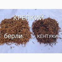 Табак Опт/Розн Качество. Лапша. Сухой Чистый. Вирджиния Берли Кентуки Голд. Гильзы.Тютюн