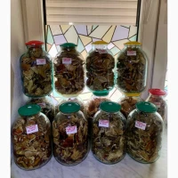 Продам червоний мухомор