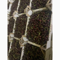 Продам черешню очень сладкая