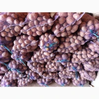 Продам картоплю