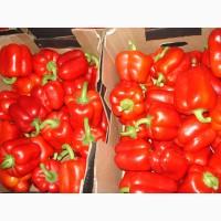Продам перец болгарский крупный