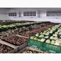 Пропонуємо склади під зберігання сільгоспродукції