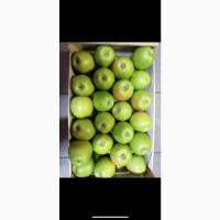Продам качественное яблоко