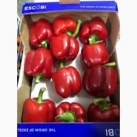Продам перець