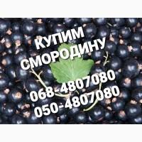 Куплю смородину замороженную (смородина шёковой заморозки))