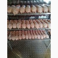 Продам мясо кролика на постоянной основе