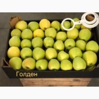 Яблука продажа. Опт. Холодильник смарт фреш Голден, черний принц, ред чіф