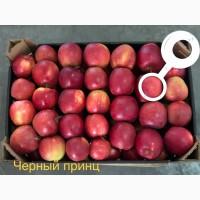 Яблука продажа. Опт. Холодильник смарт фреш Голден, черний принц, ред чіф