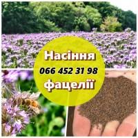 Продам насіння фацелії