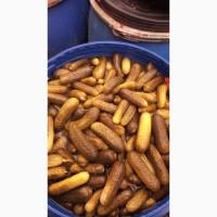 Куплю солений, квашений огірок
