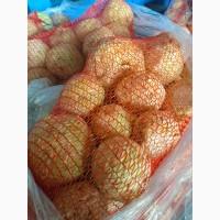 Продам селеру