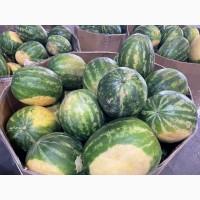 Продам самый вкусный Арбуз! Поспішай