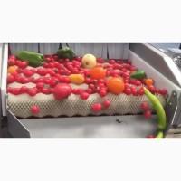 Машина для делікатного миття ягід, фруктів, овочів STvega Del Wash L3000