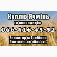 Елеватор закуповує Ячмінь!За високими Цінами!Договірні умови