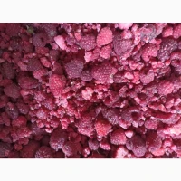 Продам малину гриз