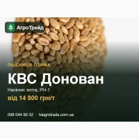 Насіння пшениці КВС Донован (KWS) - озима, еліта, РН-1, від 14 800 грн/т