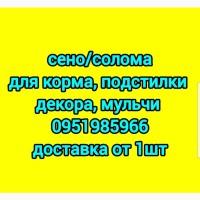 Продам сено луговое, сено люцерны с доставкой