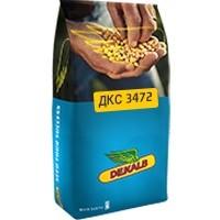 Семена кукурузы Monsanto ДКС 3472 Монсанто на посев, посевная