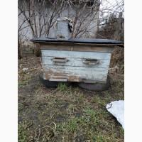 Продам пчелосемьи