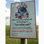 Продам мед