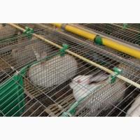 Продам действующий прибыльный бизнес