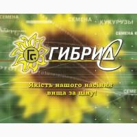 Семена подсолнечника Шенон