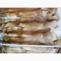 Куплю шкуры мех лисы