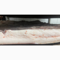 Сало Iberica, іберіка 3 Іспанія