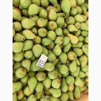 Продам Груші сорт Вільямс