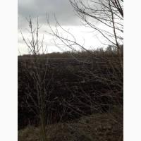 1000 га на заході Харківської обл