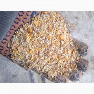 Куплю ділові відходи кукурудзи, биту кукурудзу